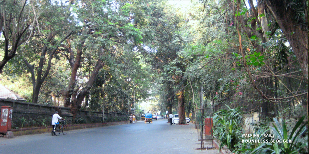 Sunset and Walking Trail along Pali Hill