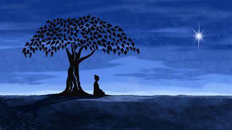 Unveiling the Silence of the Mind on Buddha's Path to Wisdom.