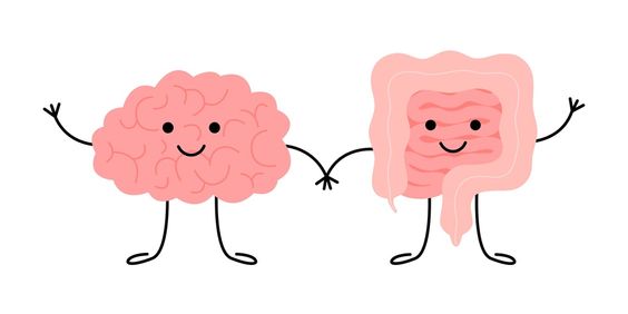 Mind-Gut Connection: The Science Explained