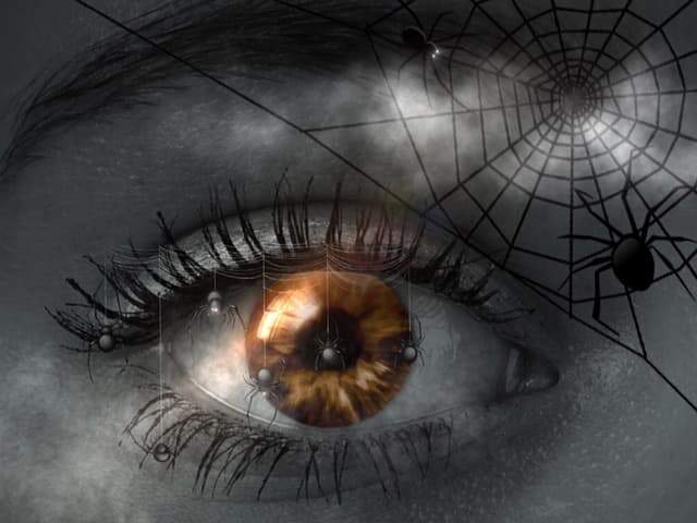 Discover the spiritual meaning of spiders