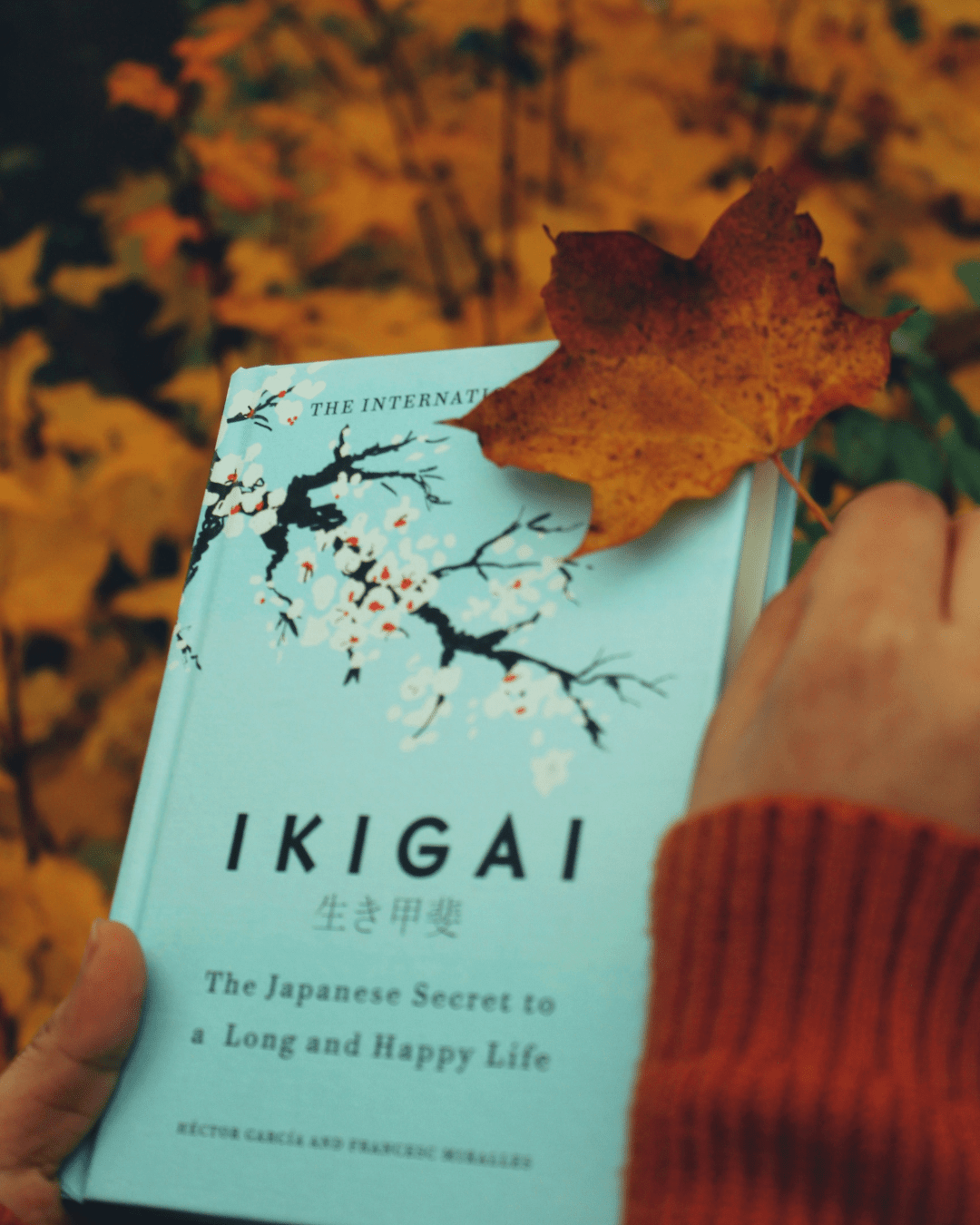 Ikigai-The Japanese Way to Finding Your Purpose for a More Meaningful Life