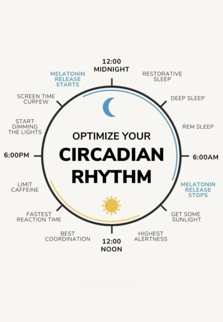 Optimize your circadian rhythm